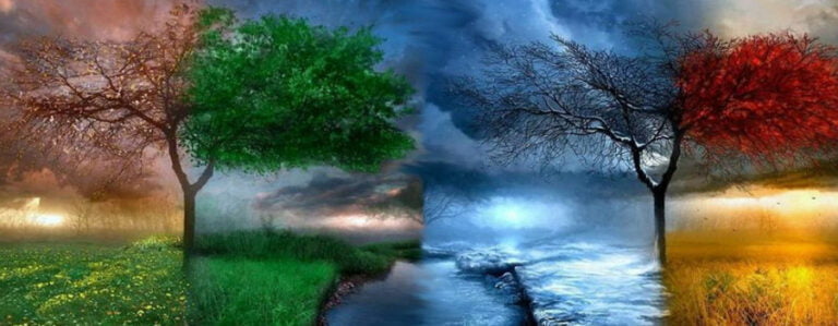 Cambios estaciones del año