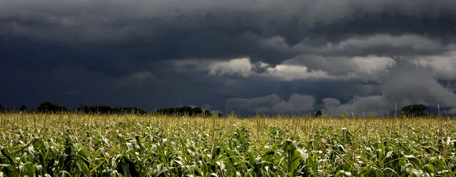 Predicción Meteorológica