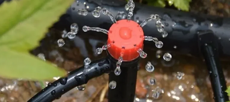 Riego por Micro Aspersión