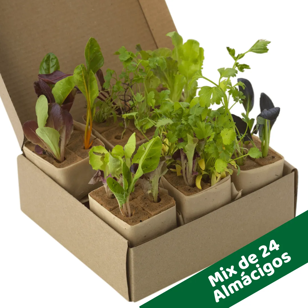 Sistema Aero/Hidropónico vertical con macetero de 28 lts con ruedas para mover con mayor facilidad en superficies planas. Kit Torre Estándar24 Stock Disponible - Imagen 4
