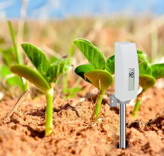 Sensor de temperatura del suelo Ecowitt WN34S_1_11zon